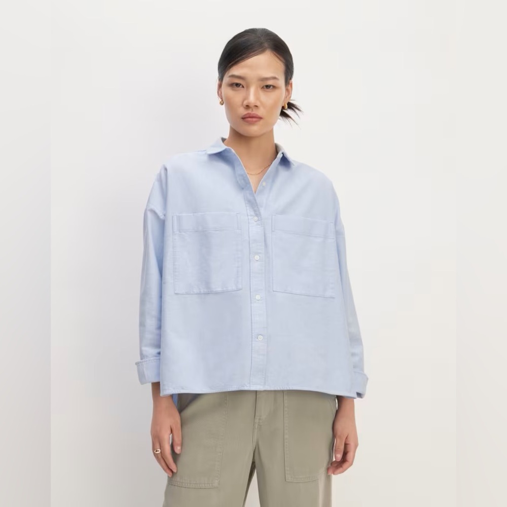 Everlane boxy oxford shirt
